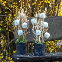 Artikel Plantenbak Paardenbloem Bloempot Zwart Ø12,5cm H14cm