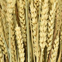 Artikel Tarwebos natuurlijke decoratieve tarwe 1 bos 150g