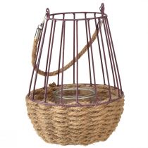 Artikel Lantaarn met handvat en glas paars naturel Ø18cm H22cm