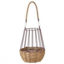 Artikel Lantaarn met handvat en glas paars naturel Ø18cm H22cm