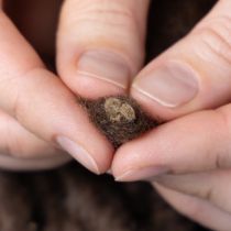 Artikel Pluizig Mirabell wollen koord, bruin, 25 meter decoratief lint voor bloemschikken en knutselprojecten.