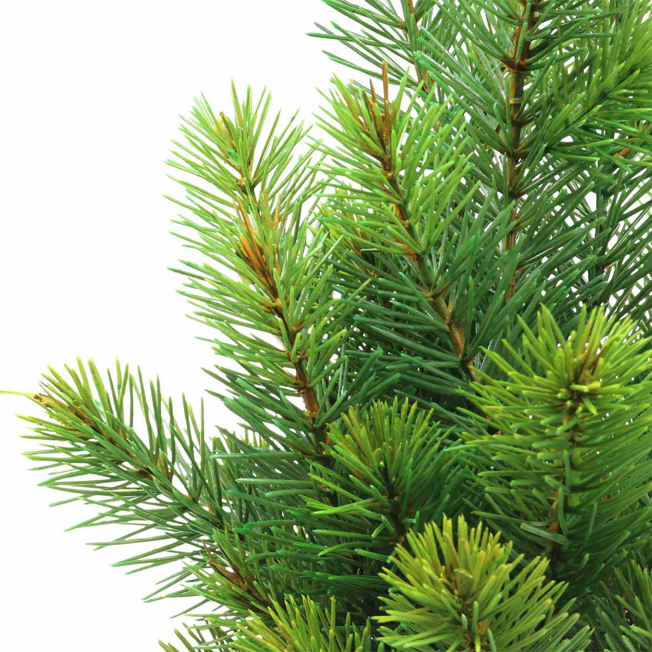 Floristik24.nl Dennentakken groen 43 / 54cm 6st83930