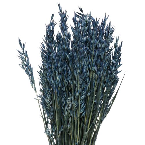 Floristik24 Droogbloemen, haver gedroogde graandecoratie blauw 68cm 230g