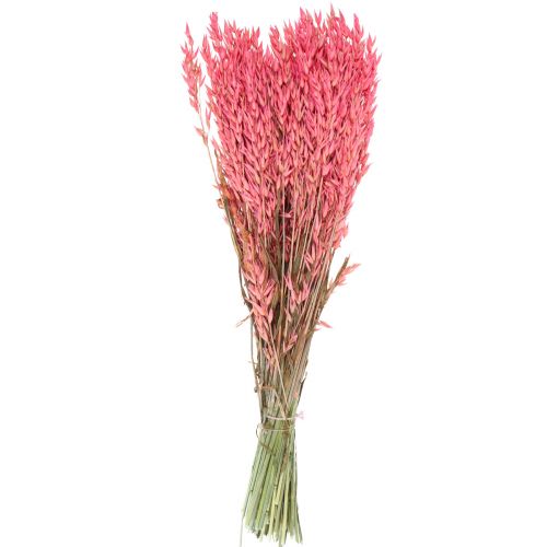 Floristik24 Droogbloemen, haver gedroogd graan decoratief roze 65cm 160g
