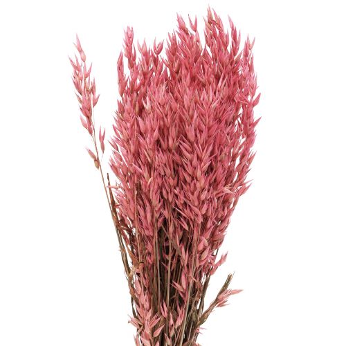 Droogbloemen, haver gedroogd graan decoratief roze 65cm 160g