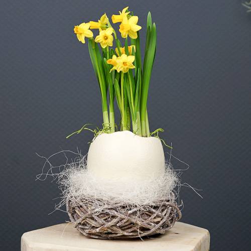 Artikel Decoratief nest natuur Ø17cm 2st