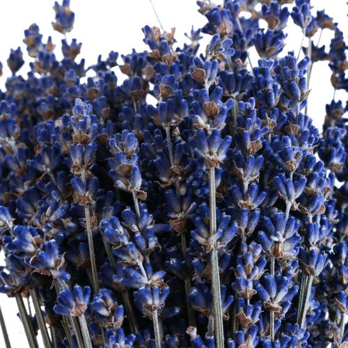 Artikel Gedroogde lavendel decoratieve droogbloemen 25cm 350g 5st