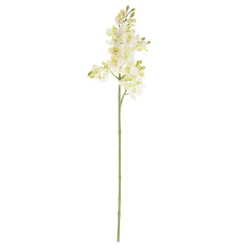 Phalaenopsis Kunst Orchideeën Kunstbloemen Wit 70cm