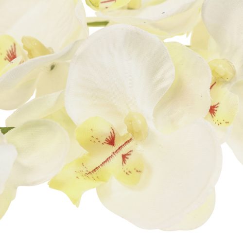 Floristik24 Phalaenopsis Kunst Orchideeën Kunstbloemen Wit 70cm