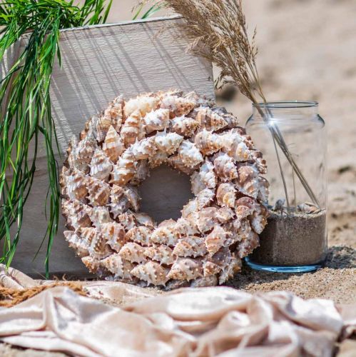 Floristik24 Deco krans slakken Maritieme decoratie deur krans zeeslakken Ø25cm