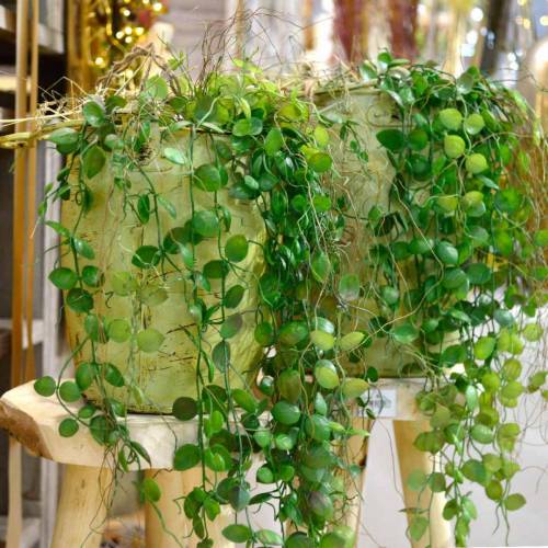 Artikel Hangplant in pot Groene kunstplant Hanging basket