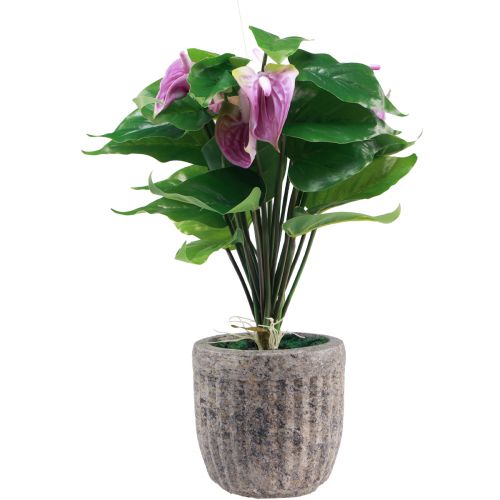 Floristik24 Kunstbloemen kunstanthurium kunstplanten in pot 41cm