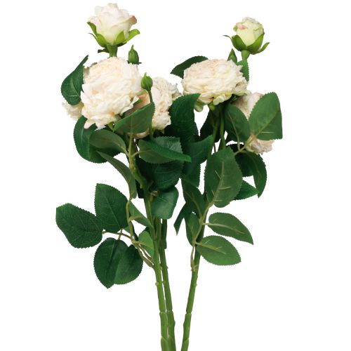Artikel Kunstrozen Crème Kunstrozen Droge Look 53cm 3 Stuks