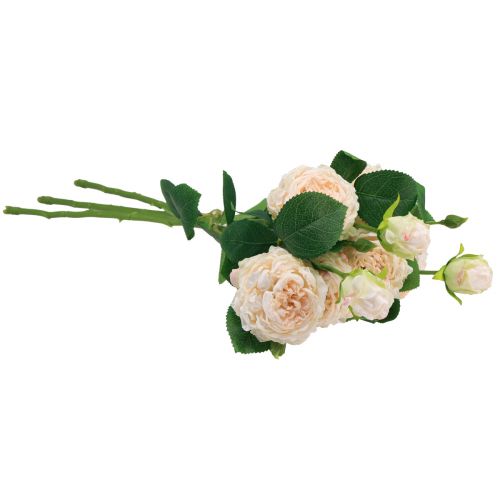 Artikel Kunstrozen Crème Kunstrozen Droge Look 53cm 3 Stuks