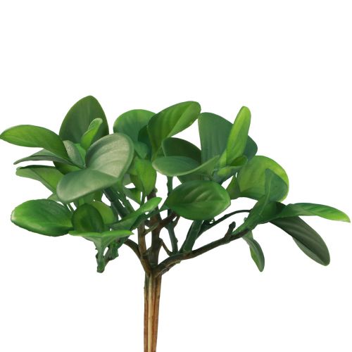 Artikel Groene kunstplant vetplant kunstgroen H14cm