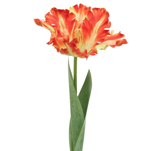 Floristik24 Kunstbloem papegaaitulp kunsttulp oranje 69cm