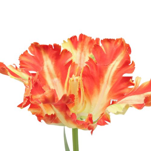 Floristik24 Kunstbloem papegaaitulp kunsttulp oranje 69cm