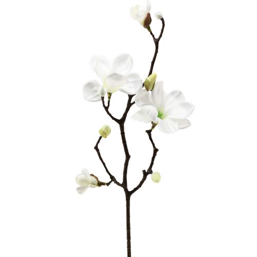 Floristik24 Kunstbloem magnolia tak magnolia kunstmatig wit 58cm 3 stuks