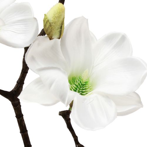 Floristik24 Kunstbloem magnolia tak magnolia kunstmatig wit 58cm 3 stuks