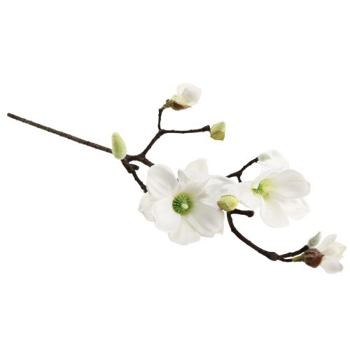 Floristik24 Kunstbloem magnolia tak magnolia kunstmatig wit 58cm 3 stuks