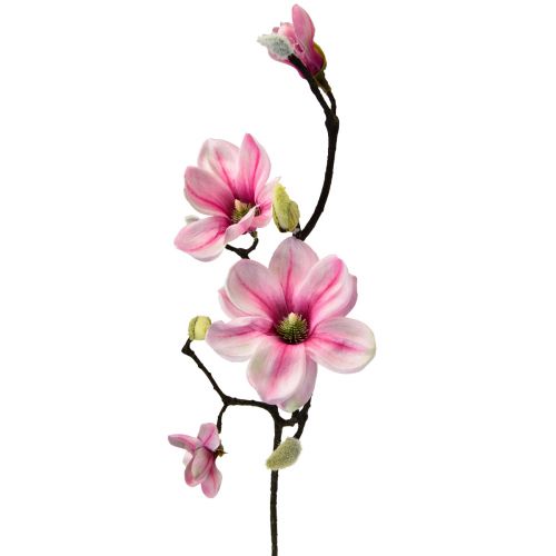 Floristik24 Kunstbloem magnoliatak magnolia kunstroze 59cm