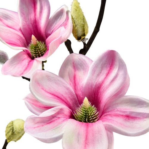 Artikel Kunstbloem Magnolia Tak Magnolia Kunstmatig Roze 59cm 3st