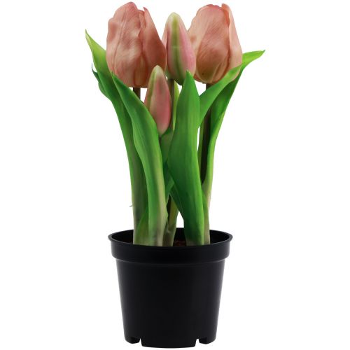 Floristik24 Kunsttulpen in pot Tulpen Perzik kunstbloemen 22cm