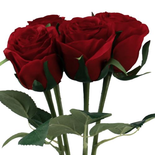 Floristik24 Kunstrozen Rood Kunstrozen Zijden Bloemen Rood 50cm 4st