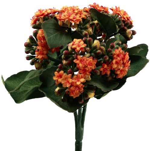 Artikel Flaming Käthchen Kalanchoë kunst oranje 24cm