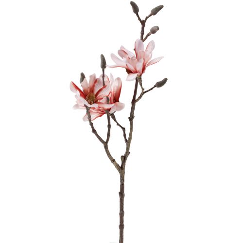 Floristik24 Magnoliatak magnolia kunstzalm 58cm
