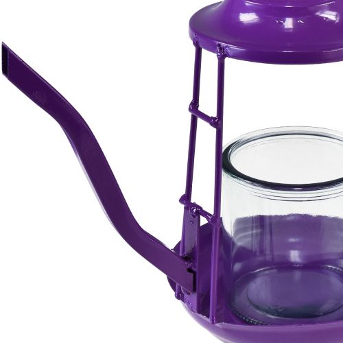 Artikel Theelichthouder glazen lantaarn theepot paars Ø13cm H22cm