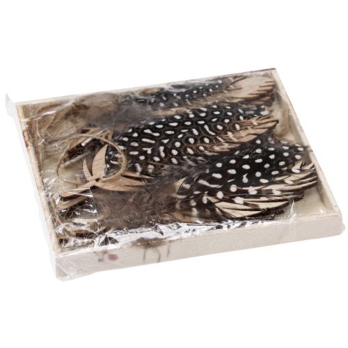 Artikel Decoratieve verenhanger houten natuurlijke veer 9,5/10cm 9 st
