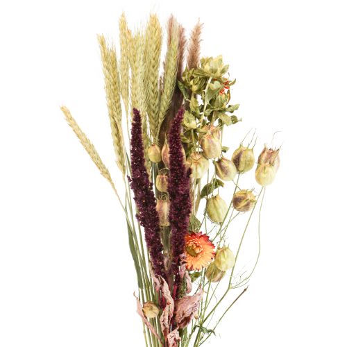 Boeket droogbloemen strobloemen oranje paars 55cm 70g