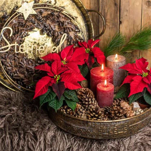 Floristik24 Decoratieve schaal met handvatten, plantenbak met patroon, gouden metalen schaal, antieke look B45,5/42cm Ø39,5/34cm set van 2