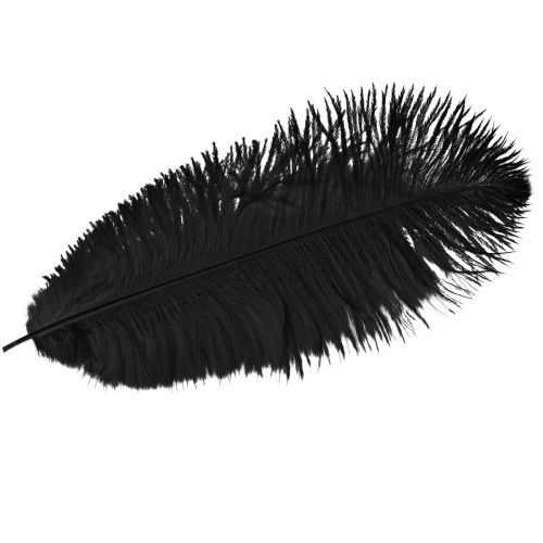 Struisvogelveren Decoratie Zwarte Veren 32-35cm 4 st