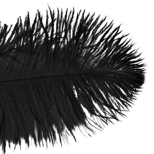 Artikel Decoratieve struisvogelveren zwarte veren 38-40cm 2st