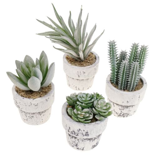 Floristik24 Succulenten in pot kunstplanten groen Ø4cm 12st