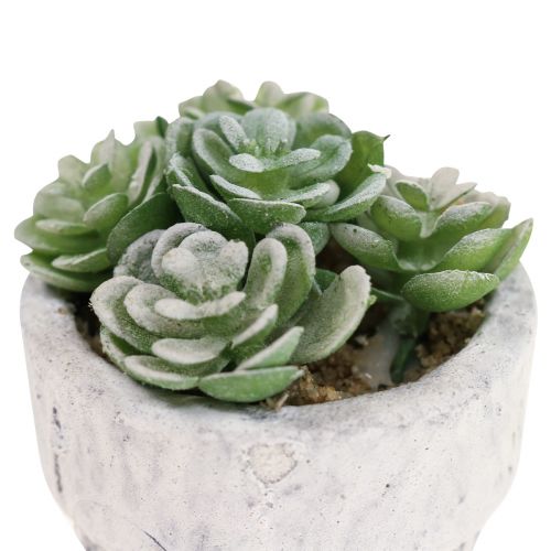 Floristik24 Succulenten in pot kunstplanten groen Ø4cm 12st