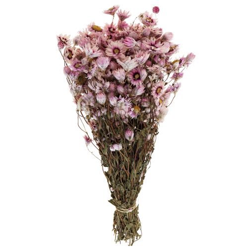 Floristik24 Strobloemen gedroogde bloemen wit roze 20-35cm bos 40g