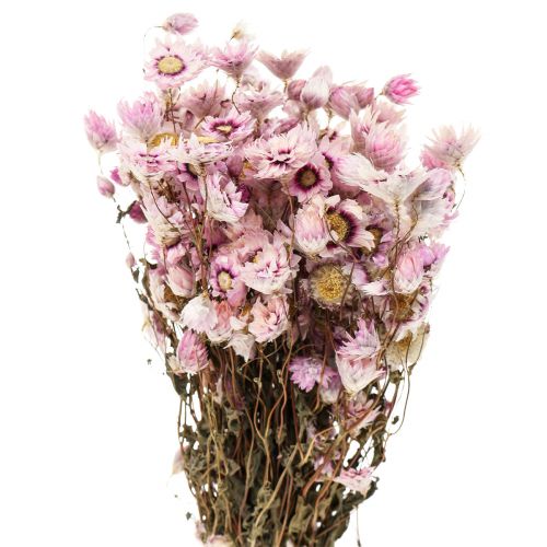 Floristik24 Strobloemen gedroogde bloemen wit roze 20-35cm bos 40g