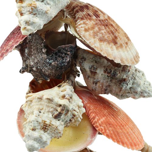 Floristik24 Maritieme hangdecoratie schelpen en zeeslakken decoratie 82cm