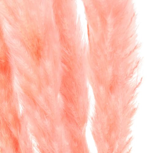 Artikel Pampasgras decoratie, pampasgras gedroogd pampasgras roze 72cm 6 st