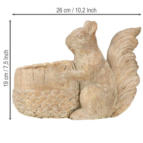 Artikel Bloempot met eekhoorn gegoten stenen decoratie 26×14×19cm