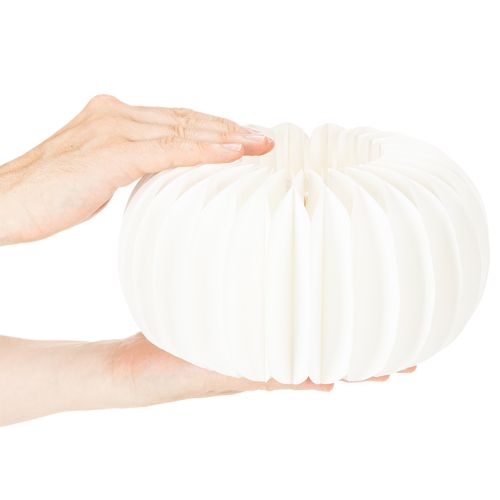 Honingraat papieren ring in de vorm van een pompoen, groot formaat, voor gedroogde bloemen en herfstdecoratie, 24 cm, 4 stuks | Floristik24.nl