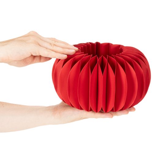 Papieren decoratie, honingraatvormige papieren pompoen, rond, moderne tafeldecoratie, 24 cm, 4 stuks | Floristik24.nl