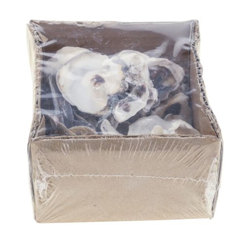 Floristik24 Oesterschelpen deco schelpen decoratie naturel 2-6cm 250g
