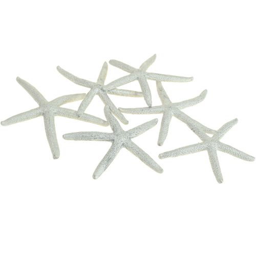Floristik24 Zeester Zilver Maritieme Decoratie Zeester Zomerdecoratie 7,5 cm 10 st