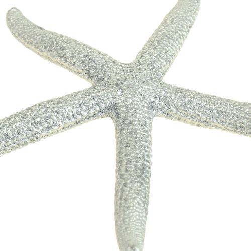 Floristik24 Zeester Zilver Maritieme Decoratie Zeester Zomerdecoratie 7,5 cm 10 st