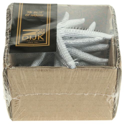 Floristik24 Zeester Zilver Maritieme Decoratie Zeester Zomerdecoratie 7,5 cm 10 st