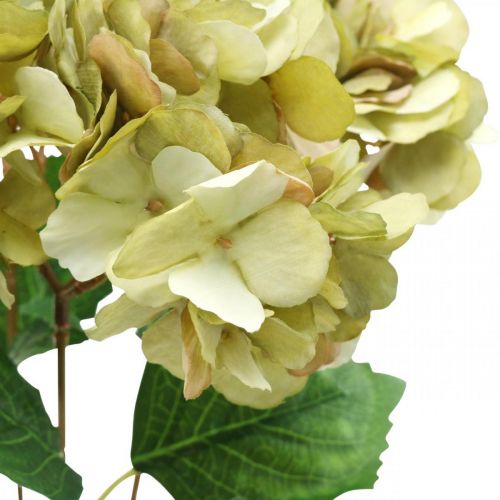 Floristik24 Hortensia boeket kunstgroen, bruin 5 bloemen 48cm